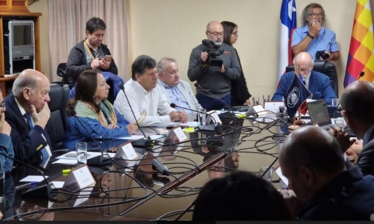 Comisión de Agricultura del Senado acordó declarar a Arica y Parinacota como Región Agrícola