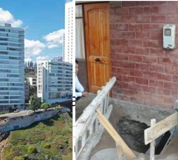 No solo en Reñaca: En Arica tenemos las Guañacaguas, las Tucapeles y Pampa Nueva