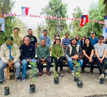 Guardaparques plantan árboles nativos en el Parque Centenario