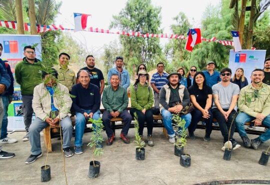 Guardaparques plantan árboles nativos en el Parque Centenario