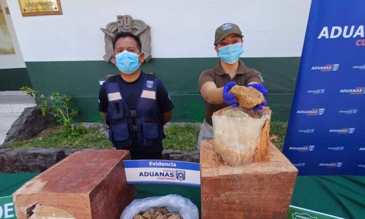 Narcos derrochan imaginación: En madera boliviana embarcaban cargamento de cocaína