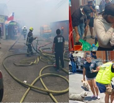 Balance del incendio en población Lautaro: 15 damnificados, 2 casas destruidas y 1 bombero herido