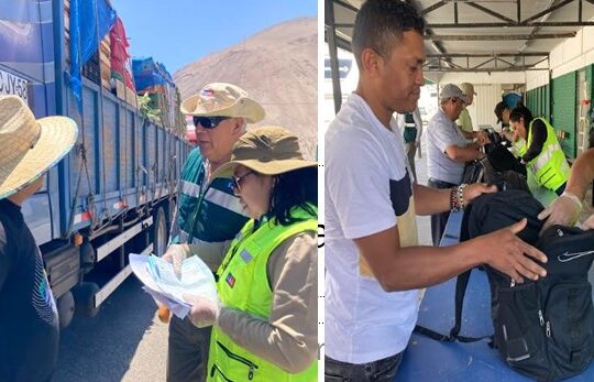 Después de 17 años el SAG fiscaliza 24 horas en control de Cuya