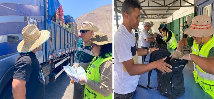 Después de 17 años el SAG fiscaliza 24 horas en control de Cuya