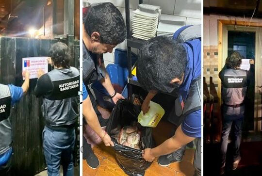 Seremi de Salud prohíbe funcionamiento de 11 locales comerciales por focos de insalubridad