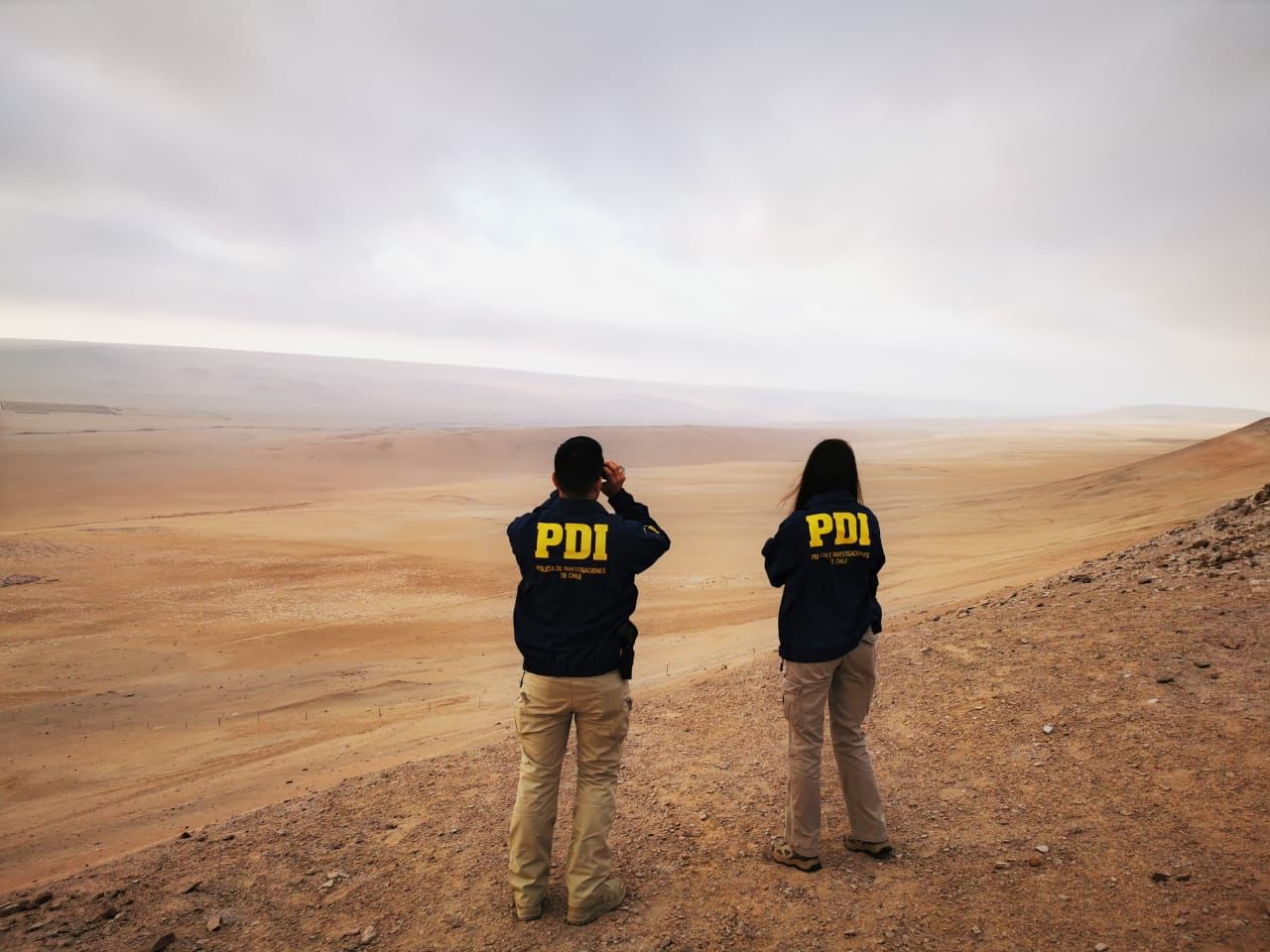 Detectives de la PDI detuvieron a seis “coyotes” por tráfico ilícito de 19 indocumentados