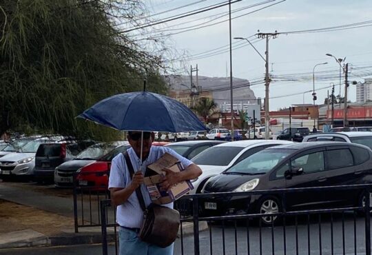 Ariqueño protege de la llovizna a golondrina de mar negra