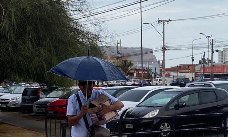 Ariqueño protege de la llovizna a golondrina de mar negra