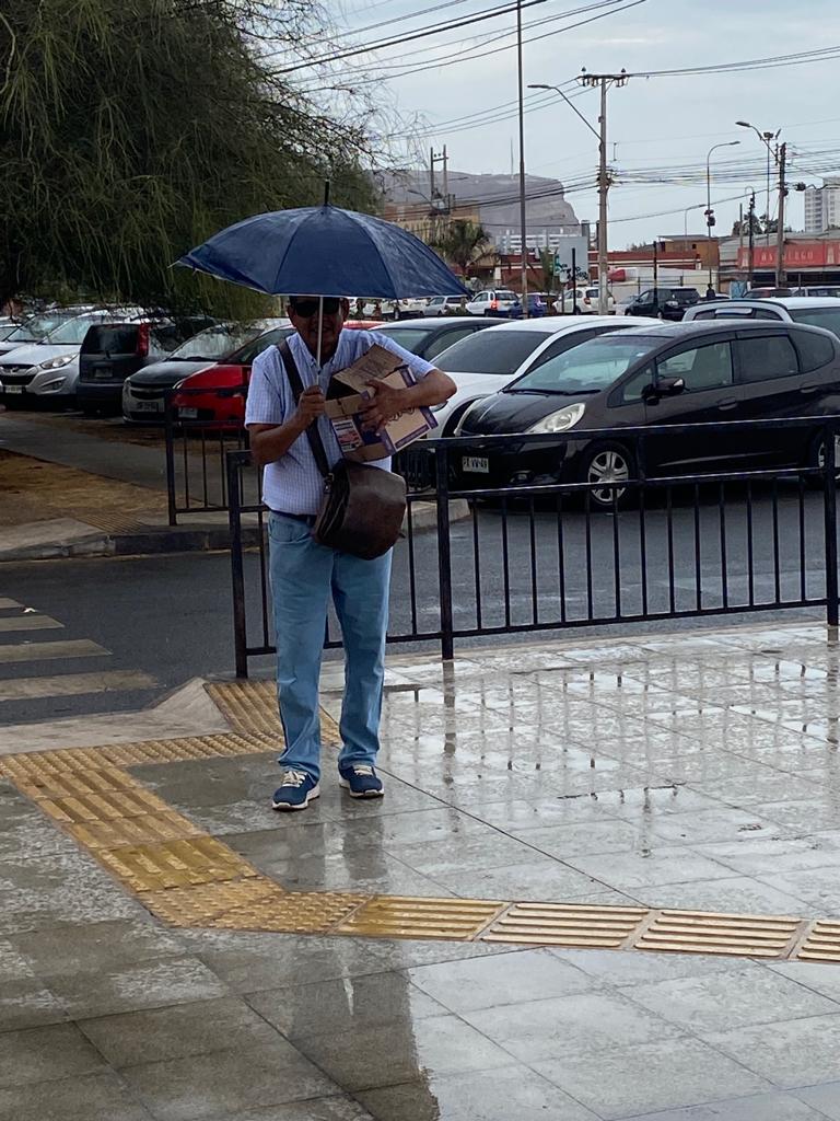 Ariqueño protege de la llovizna a golondrina de mar negra