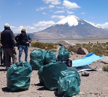 Extracción comunitaria de basura contaminante en el Lago Chungará