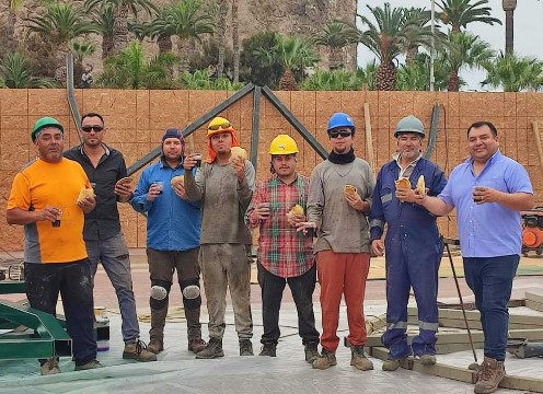 Árbol Navideño tendrá la altura de un edificio de 7 pisos
