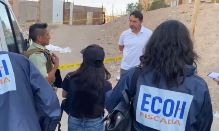 Mortal ataque de un perro a vecino de 63 años en calle El Pedregal