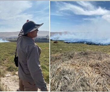 Fuegos artificiales y fogata en Las Machas queman 1,5 hectáreas en sector cercano al Humedal