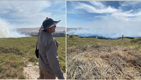 Fuegos artificiales y fogata en Las Machas queman 1,5 hectáreas en sector cercano al Humedal