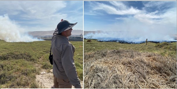 Fuegos artificiales y fogata en Las Machas queman 1,5 hectáreas en sector cercano al Humedal