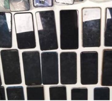 Carnaval tuvo hasta su Reina de los Celulares y Carabineros se la llevó presa