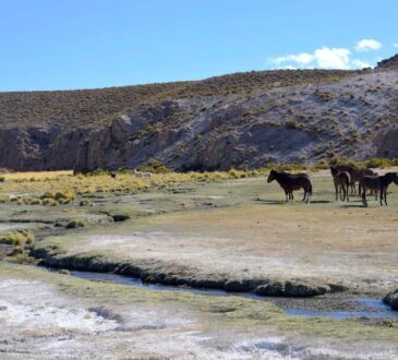 La UNAP inició segunda etapa del Proyecto Desarrollo Agroalimentario Sustentable en el Desierto