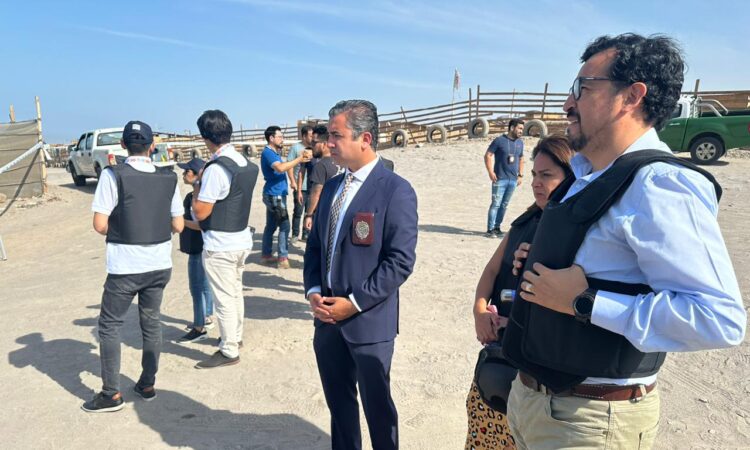 Fiscalía y la PDI investigan brutal homicidio en sector de Quebrada Encantada
