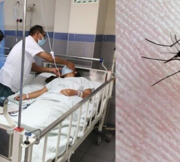Hospital Hipólito Unanue reporta casos sospechosos de dengue en Tacna
