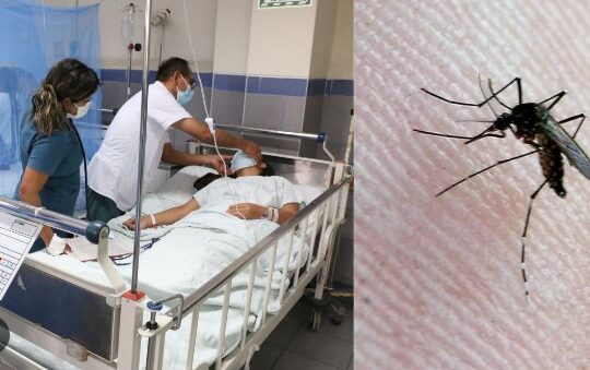 Hospital Hipólito Unanue reporta casos sospechosos de dengue en Tacna