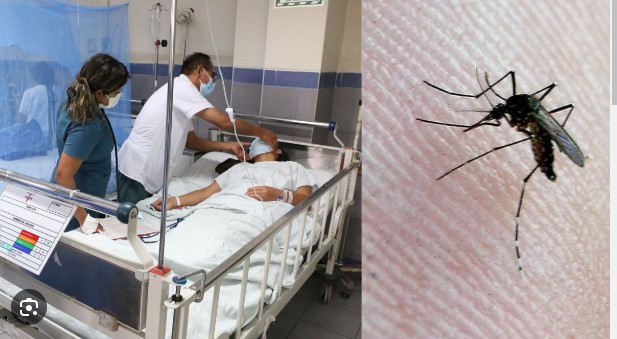 Hospital Hipólito Unanue reporta casos sospechosos de dengue en Tacna