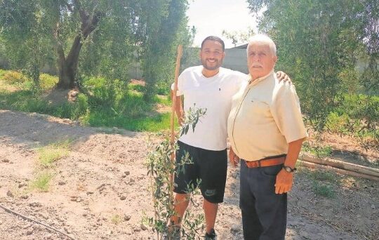 Familia ariqueña Bu-Antun ganó concurso “Impulso Chileno” con sus aceitunas de Azapa