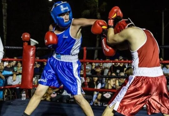 Nos estaba faltando el Festival de Boxeo para ir cerrando las vacaciones