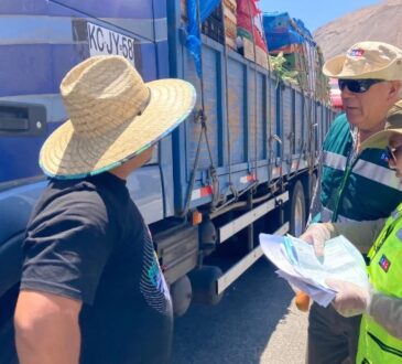 Prohibición total de salida de fruta fresca de Arica por plaga Ceratitis Capitata