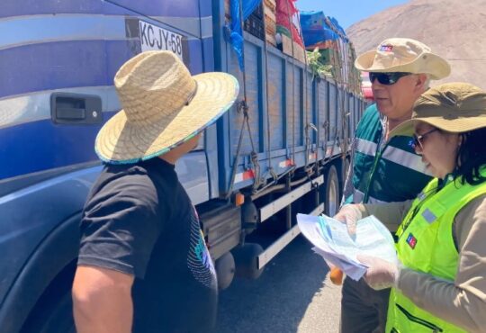 Prohibición total de salida de fruta fresca de Arica por plaga Ceratitis Capitata