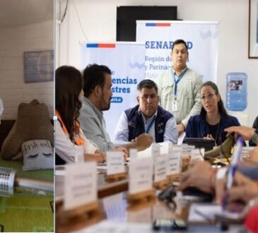 Senapred decretó Alerta Amarilla ante casos de dengue confirmados en Arica