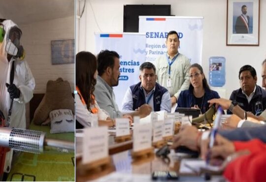 Senapred decretó Alerta Amarilla ante casos de dengue confirmados en Arica