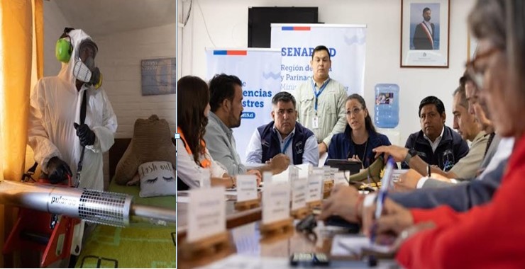 Senapred decretó Alerta Amarilla ante casos de dengue confirmados en Arica