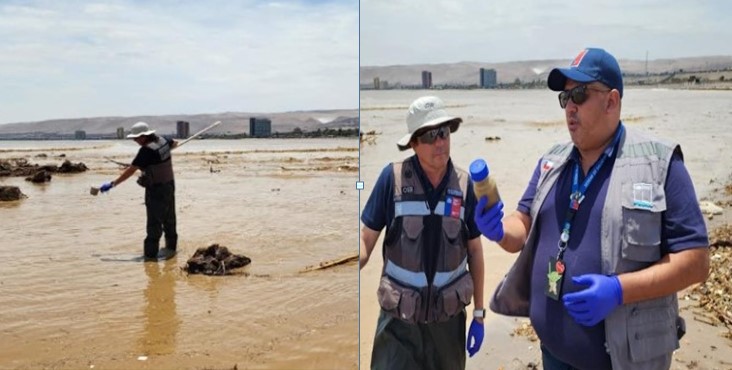 Seremi decretó cierre de playa Chinchorro: Prohibidos baños y actividades recreacionales