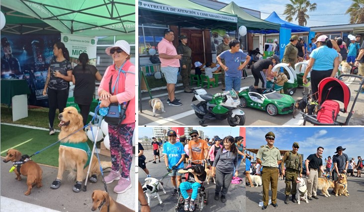 Exitosa Caminata Canina con más de mil mascotas organizó Carabineros de Arica