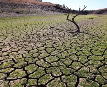 Analizaron a fondo soberanía alimentaria en el continente en tiempos del cambio climático