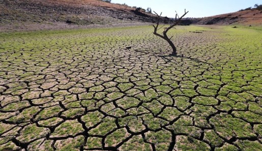 Analizaron a fondo soberanía alimentaria en el continente en tiempos del cambio climático