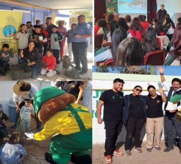 CONAF y Forestín se desplegaron por la región en el Día Mundial del Medioambiente