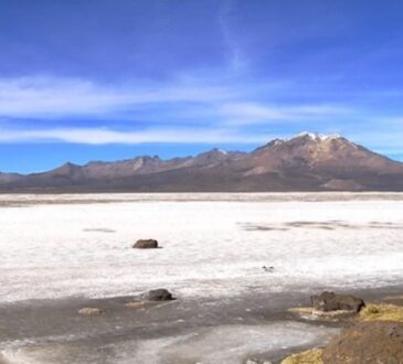 CDE demandó a Quiborax Arica por daños irreparables al Salar de Surire