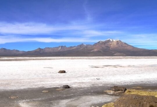 CDE demandó a Quiborax Arica por daños irreparables al Salar de Surire