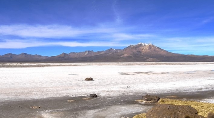 CDE demandó a Quiborax Arica por daños irreparables al Salar de Surire
