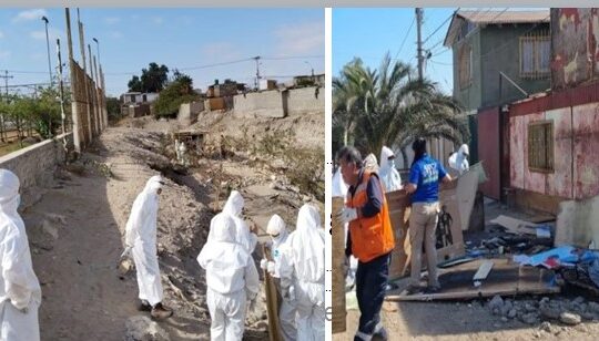 Le dan duro al “turismo mutante”: 130 toneladas de rucos al vertedero municipal