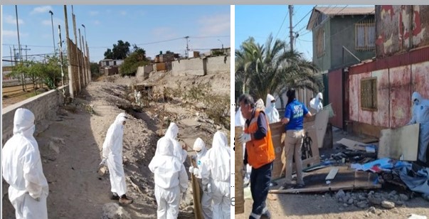 Le dan duro al “turismo mutante”: 130 toneladas de rucos al vertedero municipal