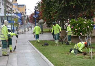 Concejo Municipal rechazó trato directo para mantener áreas verdes en Arica