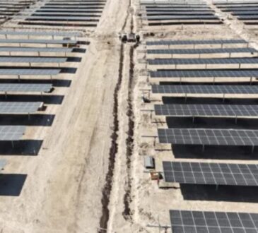 Paralizan proyecto fotovoltaico en Arica para proteger a Golondrina de Mar