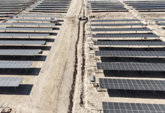 Paralizan proyecto fotovoltaico en Arica para proteger a Golondrina de Mar