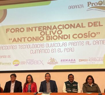 Invitan a productores olivícolas y expertos de Arica a Foro Internacional del Olivo en Tacna