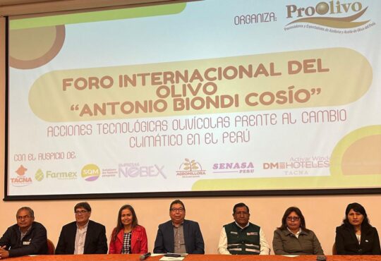 Invitan a productores olivícolas y expertos de Arica a Foro Internacional del Olivo en Tacna