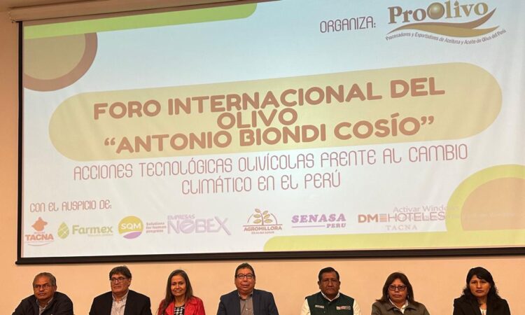 Invitan a productores olivícolas y expertos de Arica a Foro Internacional del Olivo en Tacna