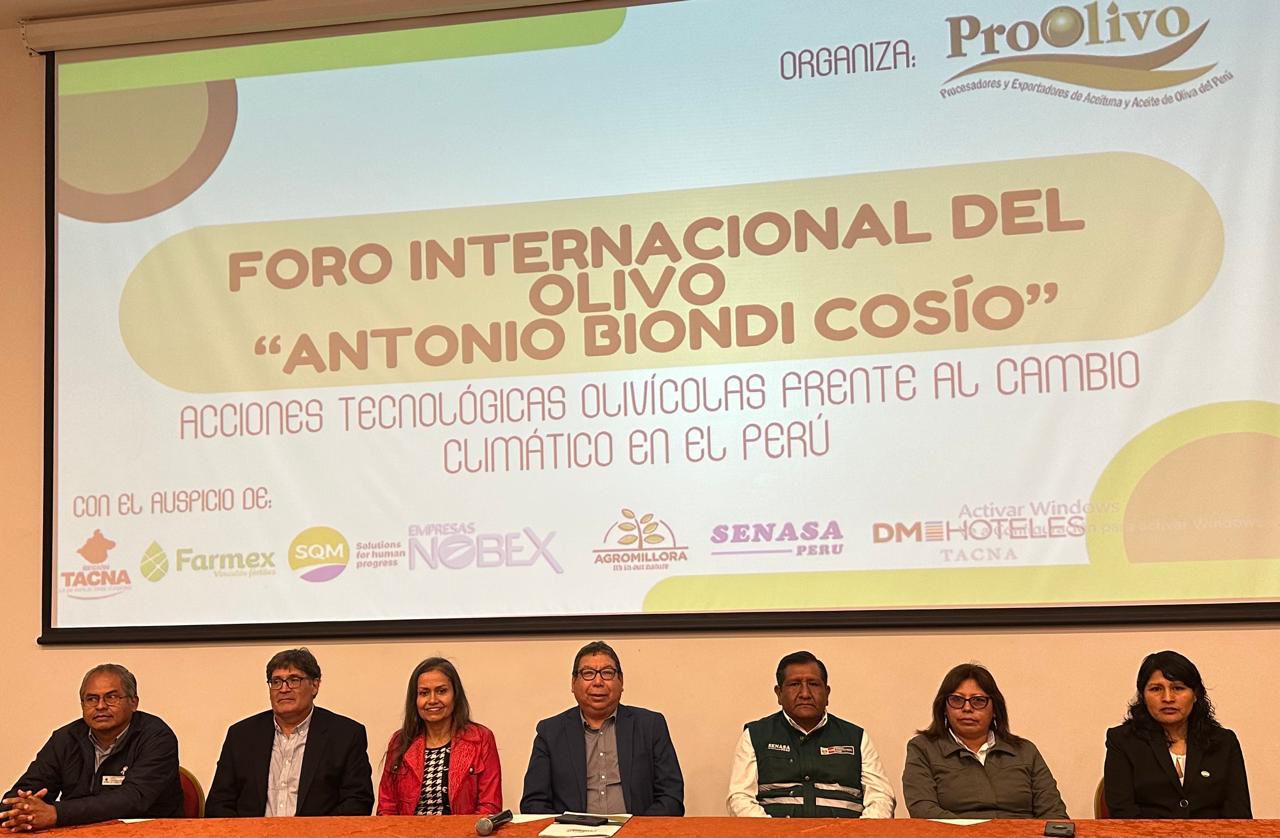 Invitan a productores olivícolas y expertos de Arica a Foro Internacional del Olivo en Tacna
