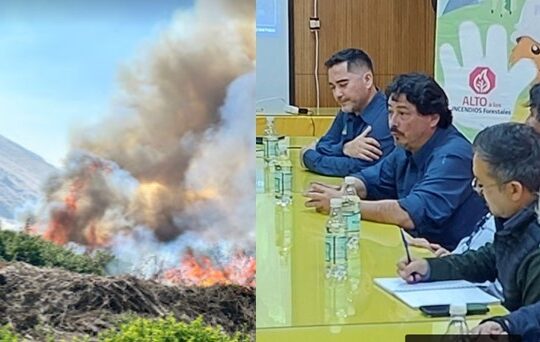 CONAF alerta sobre explosivo aumento de incendios forestales en la Región